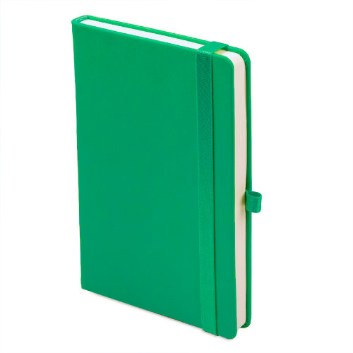 Ежедневник недатированный Hamilton, формат A5, в линейку (светло-зеленый)