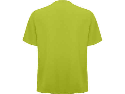 Рубашка мужская Ferox, фисташковый