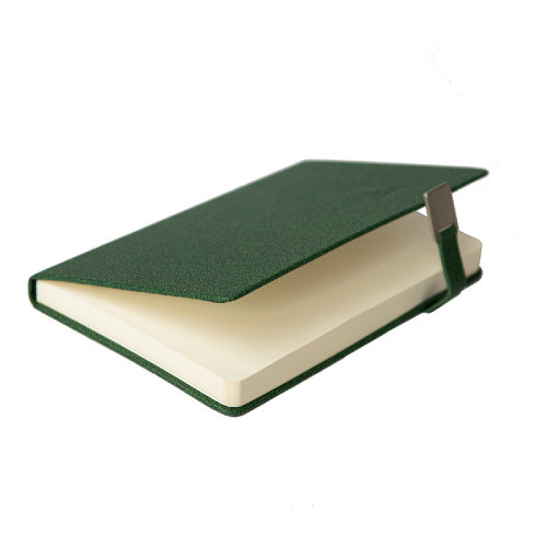 Ежедневник недатированный Linnie, формат А5, в линейку (зеленый)