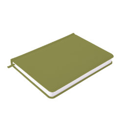 Ежедневник недатированный Campbell, формат А5,  в линейку (оливковый)