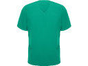Рубашка мужская Ferox, нежно-зеленый